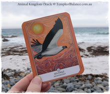 Load image into Gallery viewer, Art Print of Sea Eagle