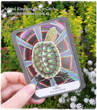 Load image into Gallery viewer, Art Print of Turtle