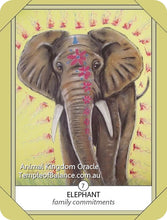 Load image into Gallery viewer, Cards - Animal Kingdom Oracle