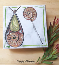 Load image into Gallery viewer, Ammonite Box Set - Pendant & pin