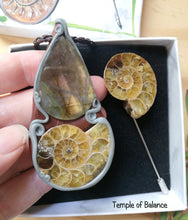 Load image into Gallery viewer, Ammonite Box Set - Pendant & pin