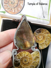 Load image into Gallery viewer, Ammonite Box Set - Pendant & pin