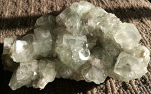 Load image into Gallery viewer, Crystal - Apophyllite Specimen