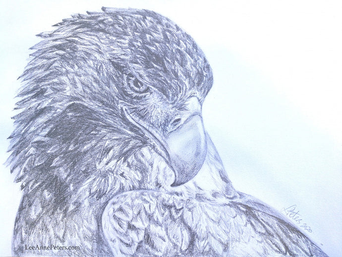 CURRENT ENERGY REPORT SNIPPET