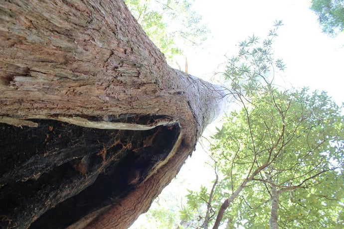 Message for March - sent with LOVE