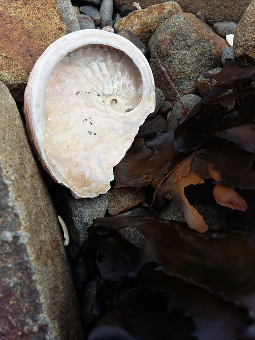 Message for January - sent with LOVE