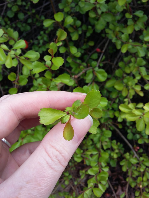 Message for July - sent with LOVE