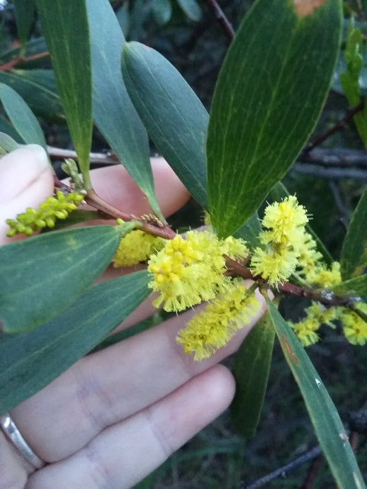 Message for June 2017