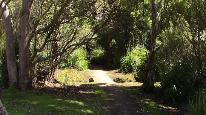 CURRENT ENERGY REPORT SNIPPET