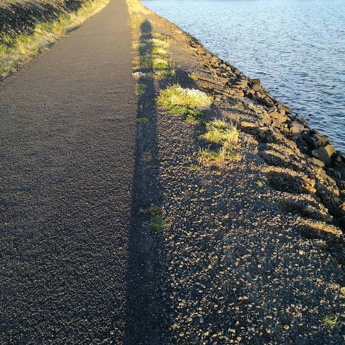 How to connect with our Shadow Side