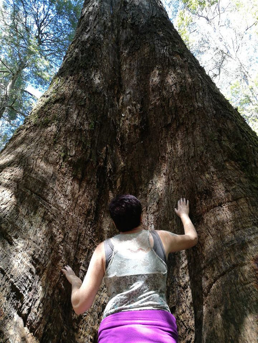 Mid-month theme check-in - Spirituality