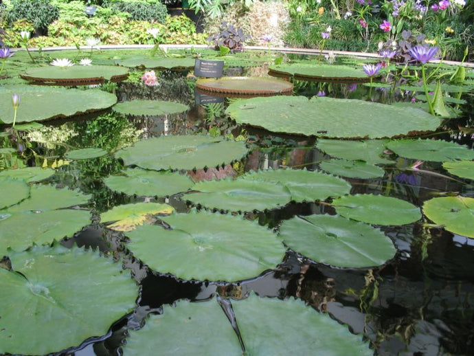 CURRENT ENERGY REPORT SNIPPET