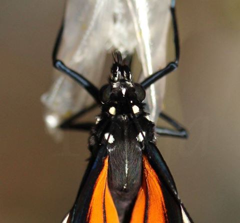 CURRENT ENERGY REPORT SNIPPET