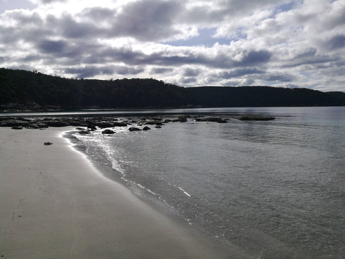 CURRENT ENERGY REPORT SNIPPET