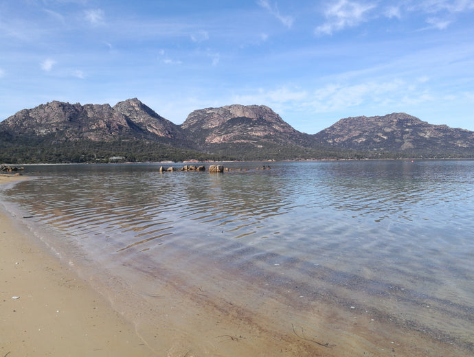 CURRENT ENERGY REPORT SNIPPET