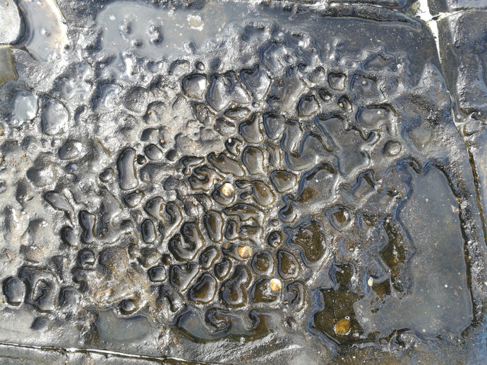 CURRENT ENERGY REPORT SNIPPET