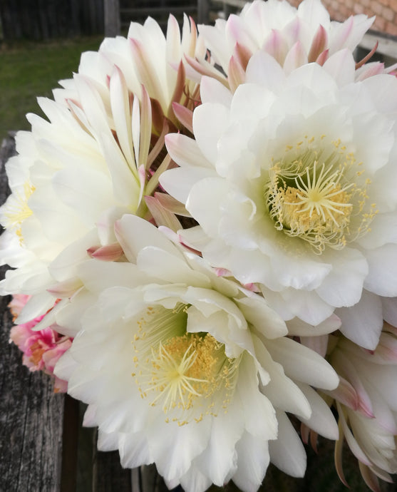 Message for November