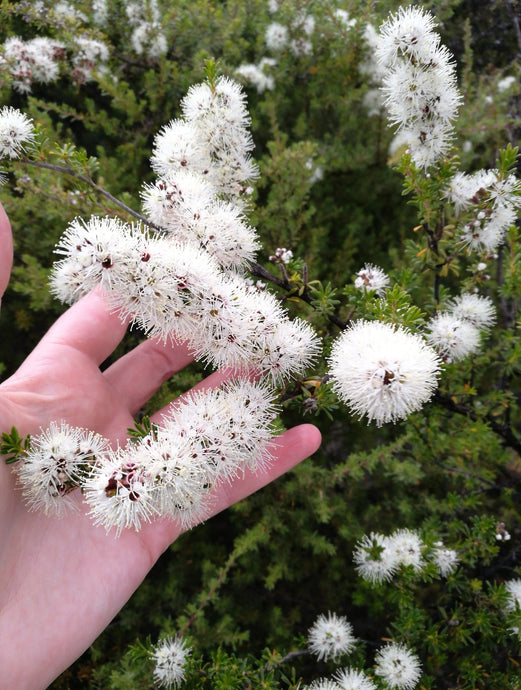 SPIRITUAL CONNECTIONS - week 1 of 4.