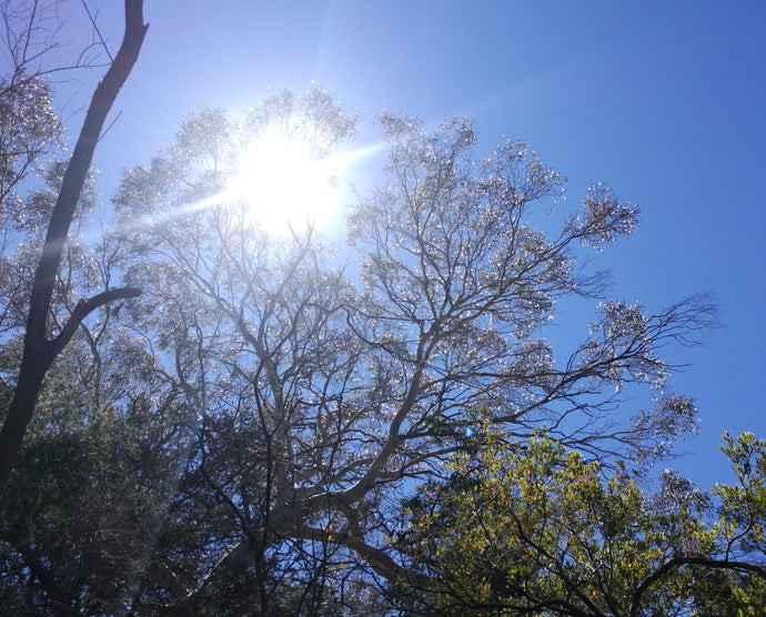 SPIRITUAL CONNECTIONS - week 2 of 4.