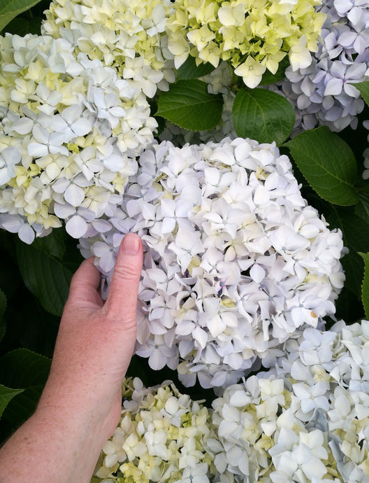 CURRENT ENERGY REPORT SNIPPET