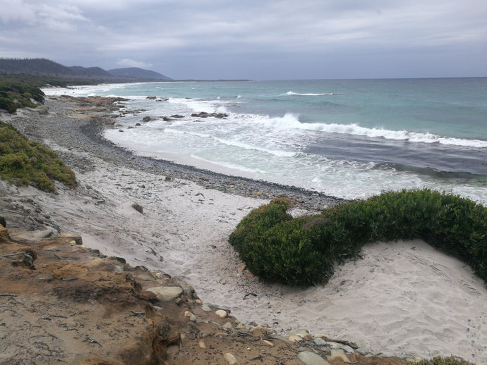 CURRENT ENERGY REPORT SNIPPET