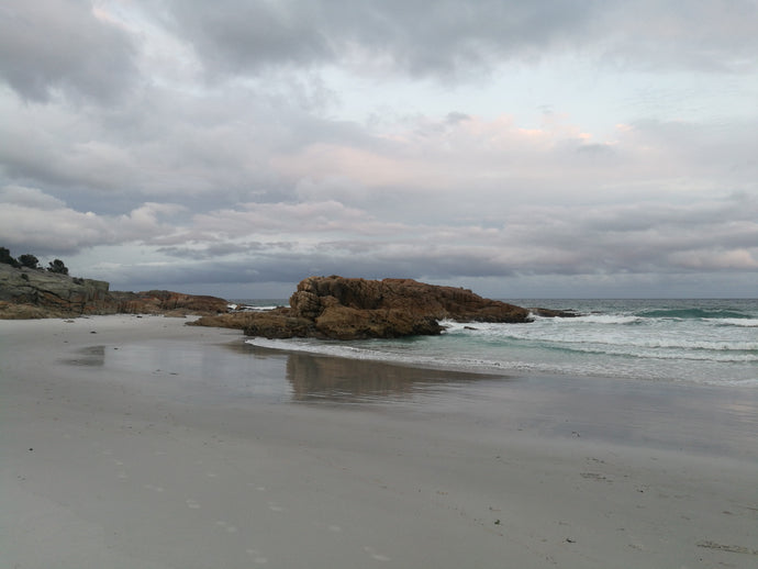 CURRENT ENERGY REPORT SNIPPET