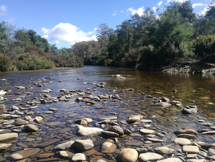 Message for March - sent with LOVE