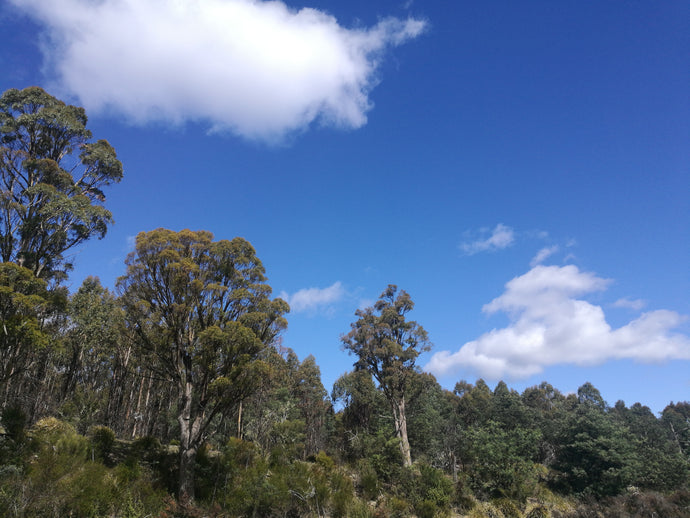 CURRENT ENERGY REPORT SNIPPET