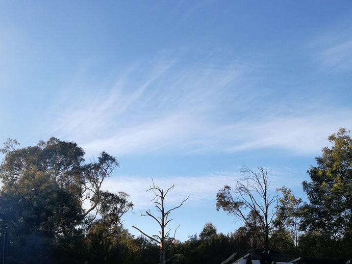 CURRENT ENERGY REPORT SNIPPET