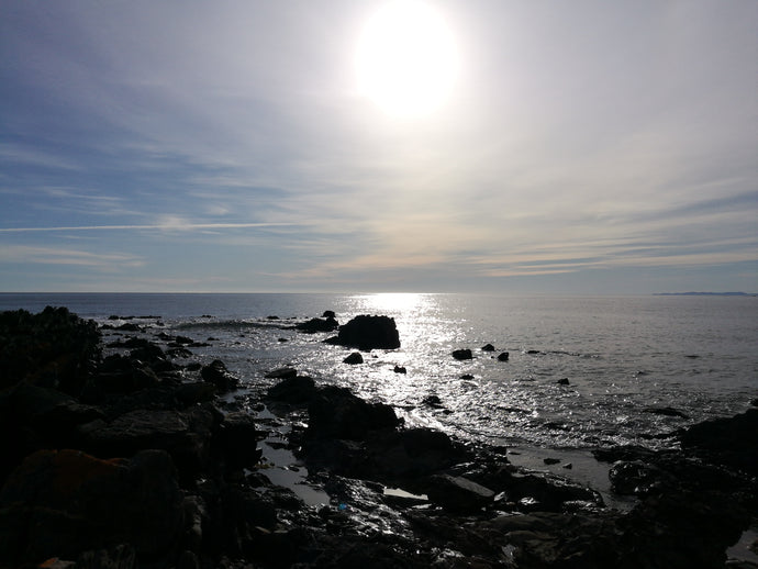 CURRENT ENERGY REPORT SNIPPET