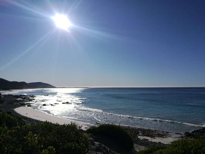 CURRENT ENERGY REPORT SNIPPET