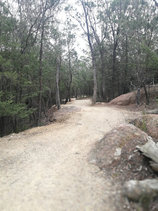 CURRENT ENERGY REPORT SNIPPET