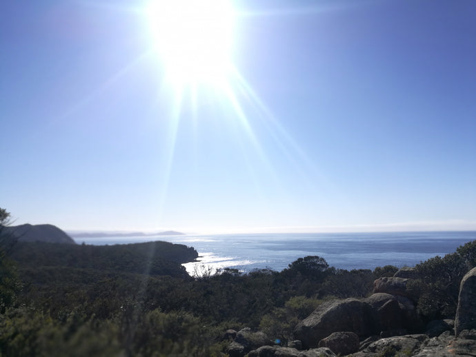 CURRENT ENERGY REPORT SNIPPET