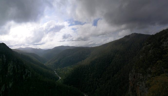 CURRENT ENERGY REPORT SNIPPET