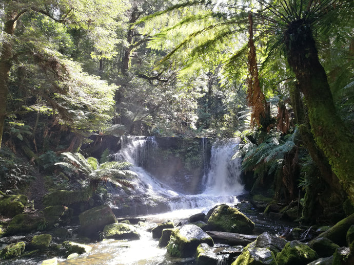 CURRENT ENERGY REPORT SNIPPET