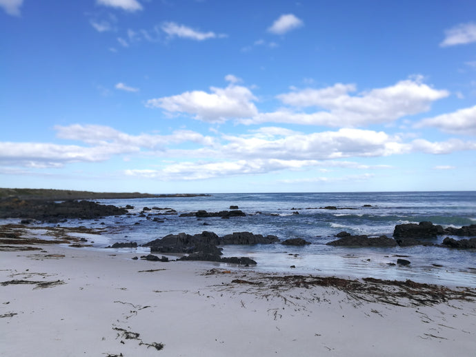 CURRENT ENERGY REPORT SNIPPET