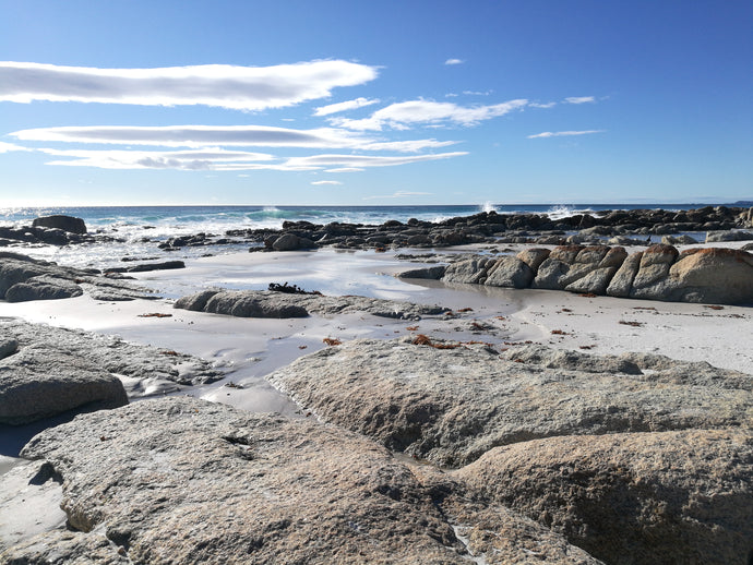 CURRENT ENERGY REPORT SNIPPET