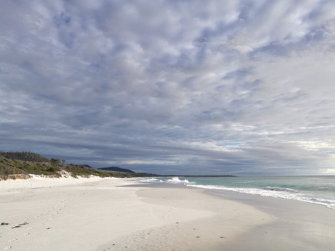 CURRENT ENERGY REPORT SNIPPET