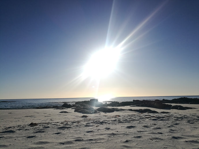 CURRENT ENERGY REPORT SNIPPET