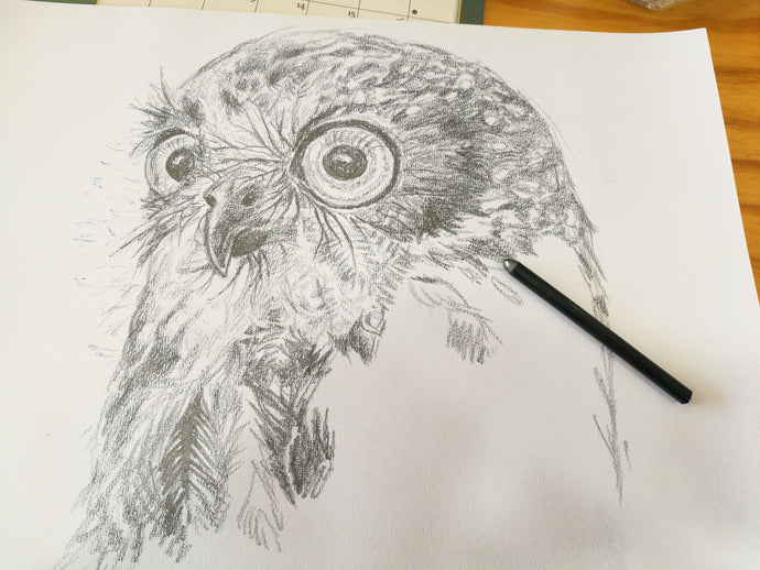 How do I get started again? Creating....