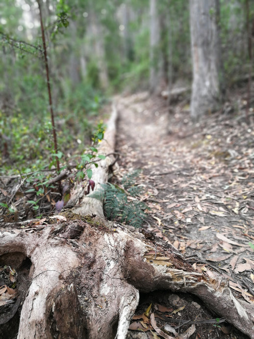 CURRENT ENERGY REPORT SNIPPET