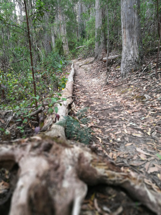 CURRENT ENERGY REPORT SNIPPET