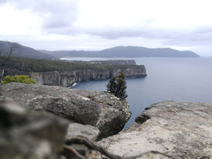 CURRENT ENERGY REPORT SNIPPET