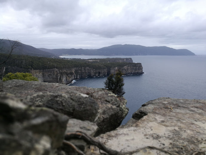 CURRENT ENERGY REPORT SNIPPET