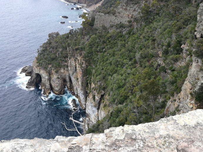 CURRENT ENERGY REPORT SNIPPET