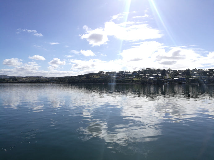 CURRENT ENERGY REPORT SNIPPET