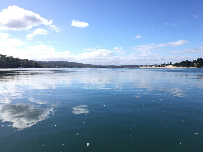 CURRENT ENERGY REPORT SNIPPET