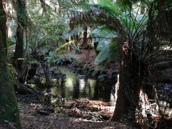 CURRENT ENERGY REPORT SNIPPET