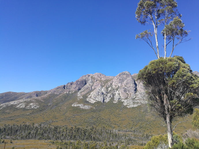 CURRENT ENERGY REPORT SNIPPET