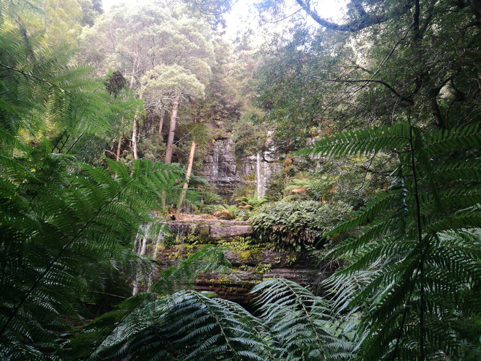 Message for April - sent with LOVE